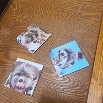 Square Magnets