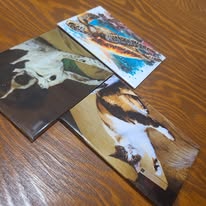 Rectangle Magnets